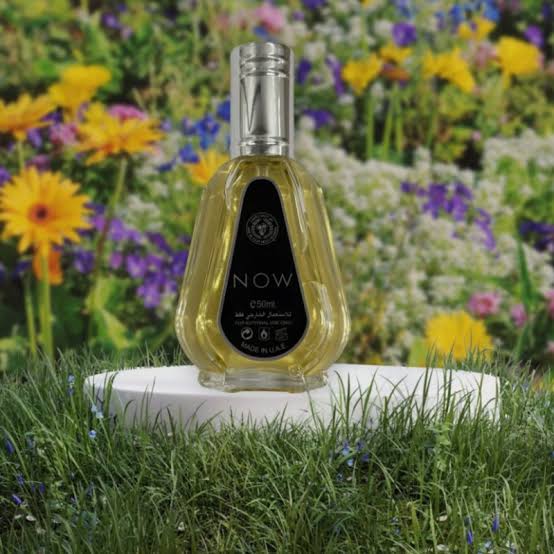 Now – Eau de Parfum 50 ml | Ard Al Zaafaran